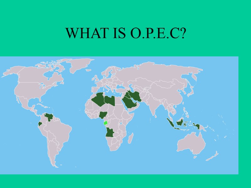 WHAT IS O.P.E.C?